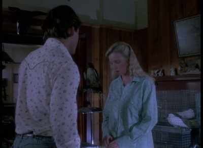 I understand you put
a computational firewall - Quantum Leap