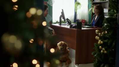 I understand that,
but it doesn't excuse - My Christmas Guide