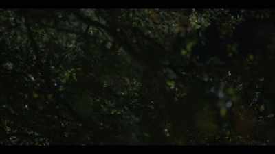 I understand that, - I'll Be Gone in the Dark