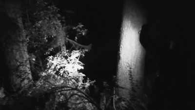 I wanna get close
to what this thing is, - Expedition Bigfoot