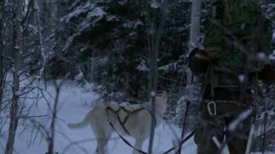 I wanna go fast today. - Life Below Zero: Next Generation