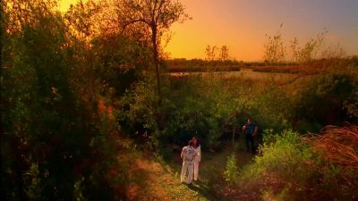 I want a body in this grave by sundown. - CSI: Miami