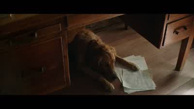 I want everything just the way I like it. - A Dog's Purpose