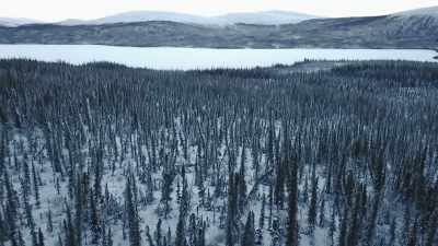 I want it to be a
renewable resource. - Life Below Zero: Next Generation
