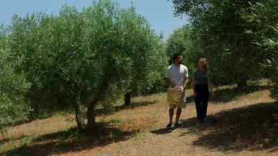 I want to show you
how to make olive oil. - A Greek Recipe for Romance