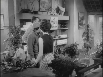 I want to talk on you about the future - The Little Shop of Horrors