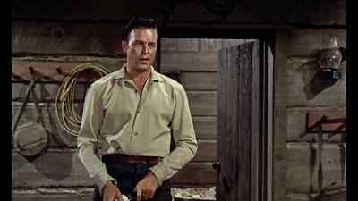 I want to thank you for helping Vienna. - Johnny Guitar
