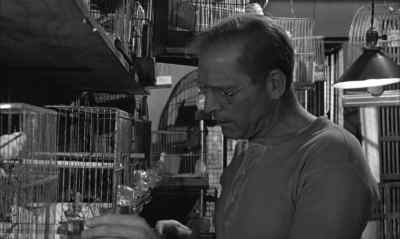 I want you to talk to Stella. - Birdman of Alcatraz
