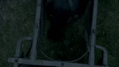 I want you to come back. - Vikings