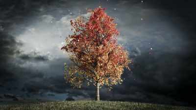 I wanted to be present - Is Mindfulness Right for You?