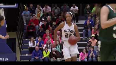 I wanted to elevate women's basketball - The Playbook