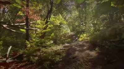I wanted to experience love-- - A Mindful Choice