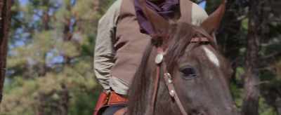 - I wanted to run, - Run for the High Country