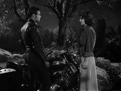 I wanted to touch you I wanted to try anyway - The Wild One