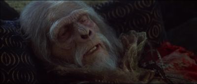 I warn you - Planet of the Apes