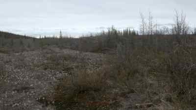 I WASN'T FAST ENOUGH. - The Last Alaskans