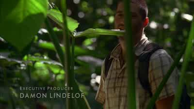 I wasn't hiding. - Lost