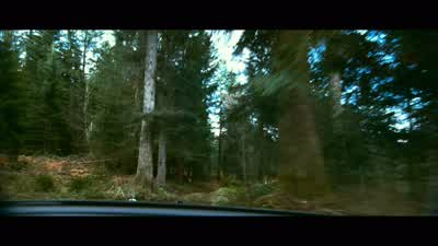 I wasn't hungry then, I was thirsty. - Transporter 3