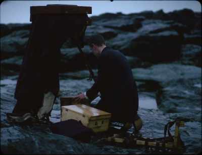 I wasn't really interested in learning, - Godland