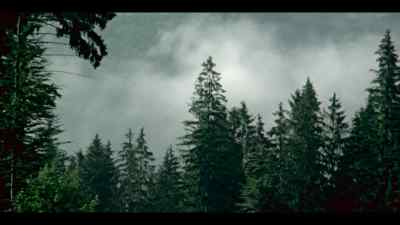 We walked along a forest path. - World War II: From the Frontlines