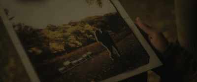I went and bought
your photograph - A New York Story