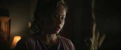 I went to the address that
you gave me, - The Lost Flowers of Alice Hart