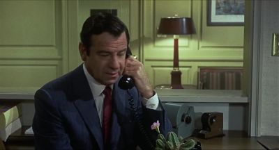 I went to the police station - Cactus Flower