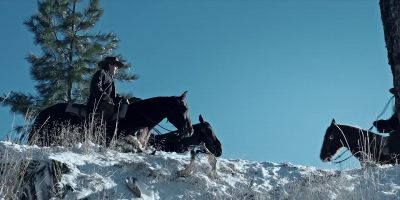 What do they want? - Yellowstone