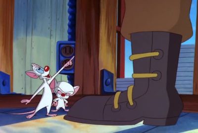 I WILL ACCEPT NOTHING LESS THAN MAHOGANY - Pinky and the Brain