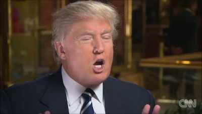 I will build a better wall, - Trump: The Art of the Insult