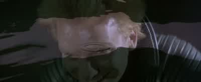 I will kill you. - Dune