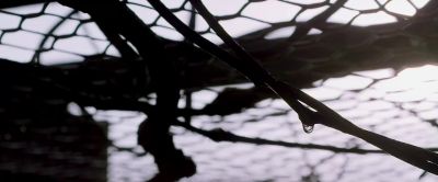 I'll never let you go - Transcendence
