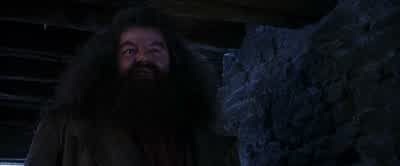 I will not pay to have a crackpotold fool teach him magic tricks. - Harry Potter and the Philosopher's Stone