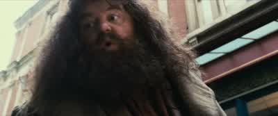 I will not pay to have some crackpot old fool teach him magic tricks. - Harry Potter and the Philosopher's Stone