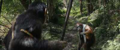 I will not slow you down.
I, too, keep a horse. - Kingdom of the Planet of the Apes