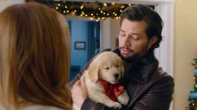 I will take her to
the vet, and we'll - Letters to Santa
