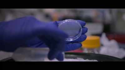 I will target a neuron - Unnatural Selection