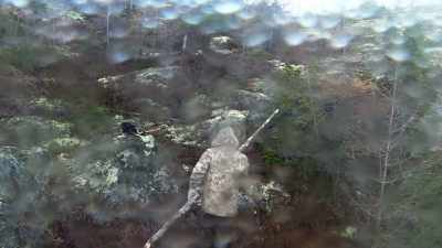 I wish I could be there
with you celebrating, baby, - Alone: Frozen