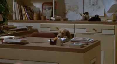 I wish I had some idea
what I was looking for. - Oh Heavenly Dog