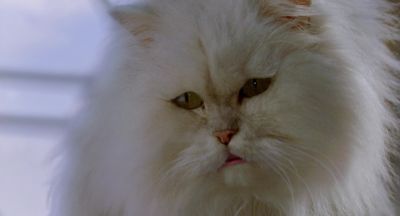 I wish it was me who had been killed - Stuart Little 2