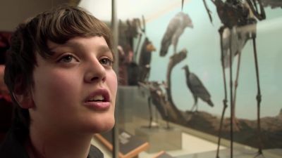 I wish Susan could have been here to see this bird skeleton - Birdemic 2: The Resurrection