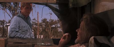 I wished people was like dogs - Cool Hand Luke