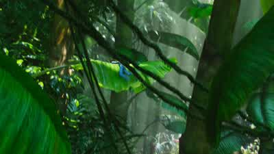 With Neytiri, it's learn fast or die. - Avatar