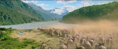 With the herd
at his heels, - Walking with Dinosaurs