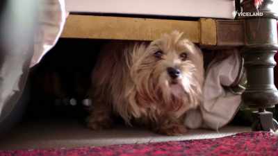 I woke up halfway through the night, - Stacey Dooley Sleeps Over