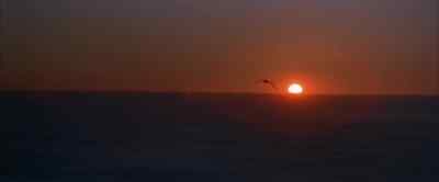I wonder how high I could really fly, - Jonathan Livingston Seagull