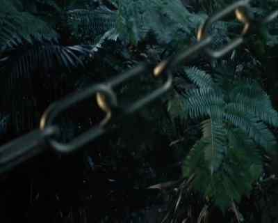 I wonder how Mark's
making out. - Land of the Giants