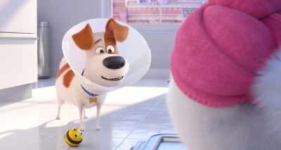 I was wondering,
could you watch my Busy Bee - The Secret Life of Pets 2