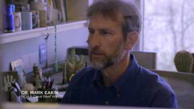 I work for the National Oceanic
and Atmospheric Administration or NOAA. - Chasing Coral