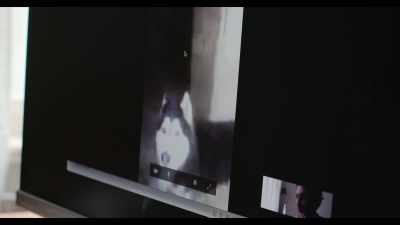 I was worried about you
when you sent the video - Dogs